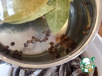 ������ ������������ ������ �����������