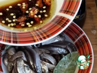 ������ ������������ ������ �����������