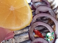 ������ ������������ ������ �����������