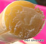 ���� ����� ������ - ������� �������������