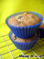 ���� ����� � ������