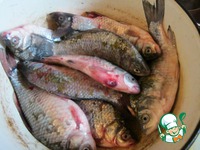 ������� �� ����������� �����������