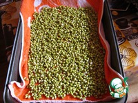 C���� �� ������������ ���� "������-��" �����������