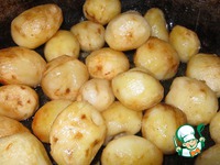 �����-����� � �������� �����������