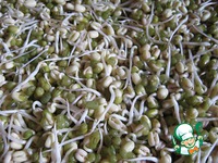 C���� �� ������������ ���� "������-��" �����������