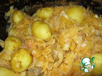 �����-����� � �������� �����������