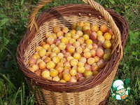 ���� "��������" �����������