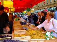 ���� "��������" �����������