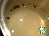 �������� "������ ���������" �����������