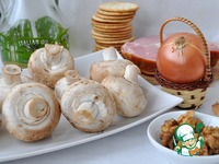 ���������� ������ �����������