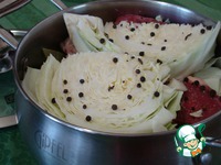 ������� �����������