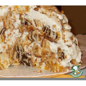 ���� "����"