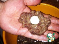 ���� ��-����������� �����������