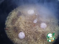 ���� ��-����������� �����������