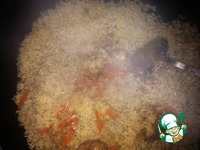 ���� ��-����������� �����������