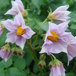 ���������: ������� �������� ��������� ����������