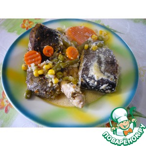 ���� ��-��������������� � �����������