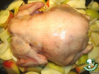 ������ �� �������� ������� �����������