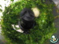 ��������� ���, ��������� ������� � �������� �����������