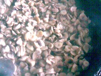 ����� "��������" �����������