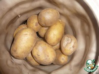 ������������ "��������" � �������� �����������