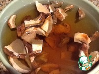 ���-���� �� �������� �����������