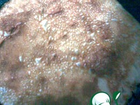 �������� � "����������" �����������