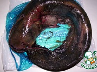 ������ ���� �����������