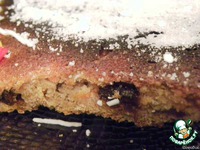 ������ "����e���" �����������