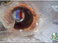 ����� ������ � ������� �����������