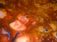 ���� "�����������������" �� �������������� ������� �����������