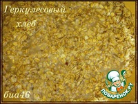 ������������ ���� �����������