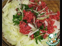 �������� � ����� � � ������� � ����� �����������