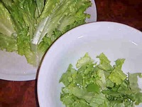 �e���� ����� � ������� ������� �����������