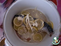 ������ ������ � ������ �����������