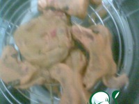 �������� � ����, �������������� � ��������� �����������