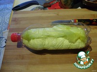 �������-��������� ���� �����������