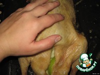 �������� ���� �����������