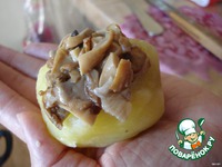 ��������� � ������ � ��������� ������ �����������