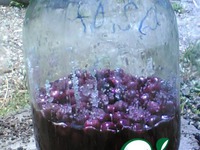 �������� �����������