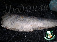 ������������� ����� �����������