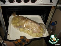 ���� � ��������, �����e���� � ������ �����������