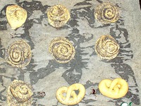 ��������� ����� �����������