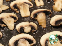 ����, ���������� � ����� �����������