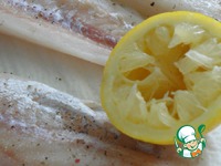 ����, ���������� � ����� �����������