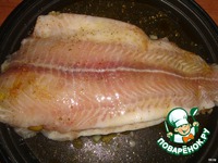 ����, ���������� � �������� � ��������� �����������