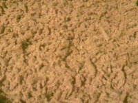 ����������� �������� �����������