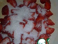 ����  �������� ����� �����������