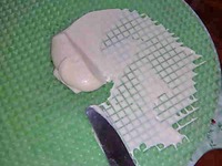 ����� ���� �����������