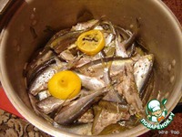 ������ ���� ��-��������� �����������